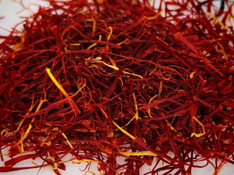 WhatsApp Image 2025-05-30 at 16.27